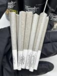 Jungle Boys Prerolls