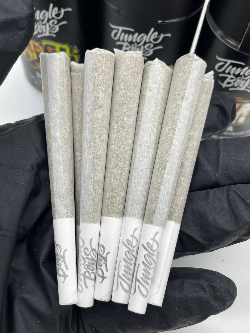 Jungle Boys Prerolls Jungle Boys Prerolls